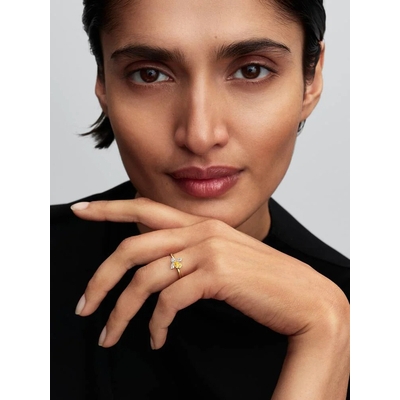 Pandora Háziméh gyűrű 14K aranyozással 58-as méret (164562C01-58)