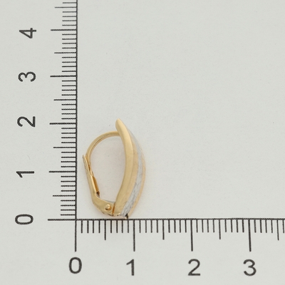 Arany fülbevaló (208-2003-BO)