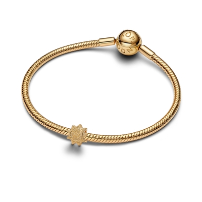Pandora mini nap charm (764052C00)