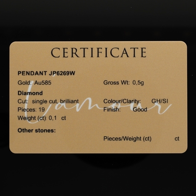 Fehér arany medál (JP6269W)