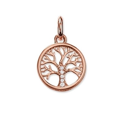 Thomas Sabo Karma Beads medál (KC0002-416-14)