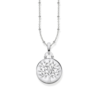 Thomas Sabo Sterling Silver nyaklánc (KE1831-001-21-L45)