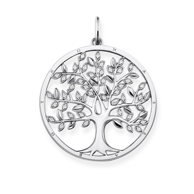 Thomas Sabo Sterling Silver medál (PE759-051-14)