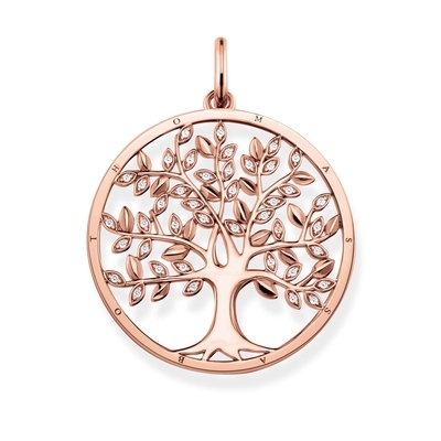 Thomas Sabo Sterling Silver medál (PE759-416-14)