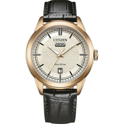 Citizen Eco-Drive Elegance férfi óra (AW0153-04A)