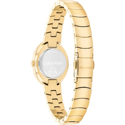 Calvin Klein Twisted Bezel női óra (CK25100147)