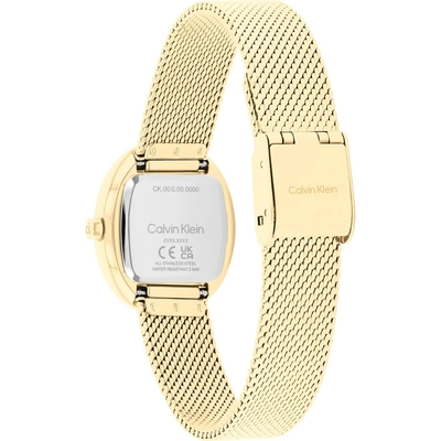 Calvin Klein Euphoria női óra (CK25100174)