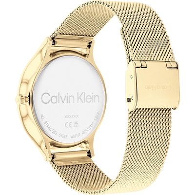 Calvin Klein Timeless női óra (CK25200003)