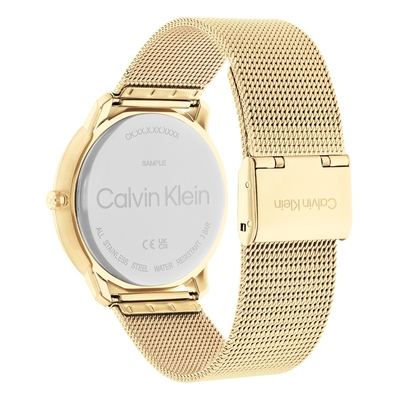 Calvin Klein Expression férfi óra (CK25200153)