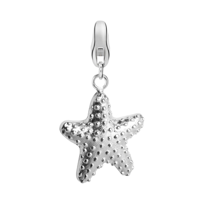 Dream Tengeri csillag charm (DC-193)