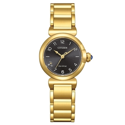 Citizen Elegance Eco-Drive női óra (EM1132-88H)