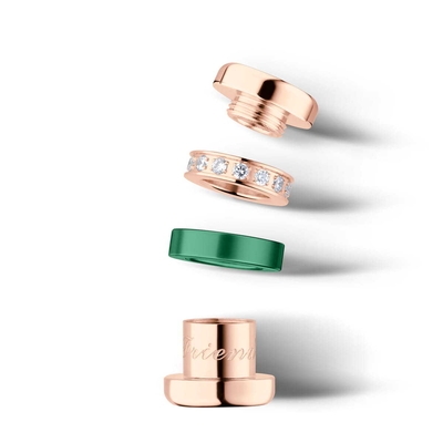 Bering Arctic Symphony charm (Friends4Life-2)