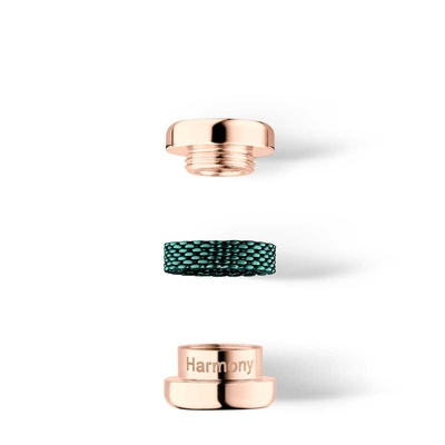 Bering Arctic Symphony charm (Harmony-1)