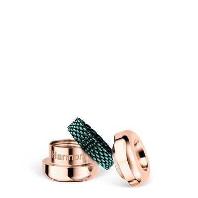 Bering Arctic Symphony charm (Harmony-1)