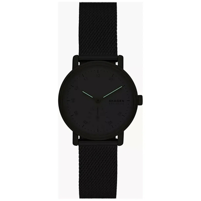 Skagen Kuppel Lille női óra (SKW3101)
