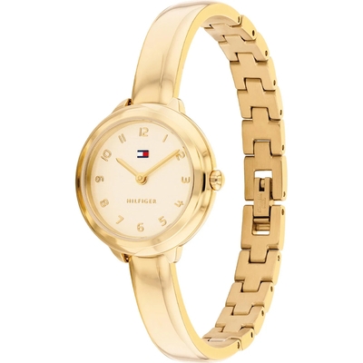 Tommy Hilfiger Demi női óra (TH1782895)