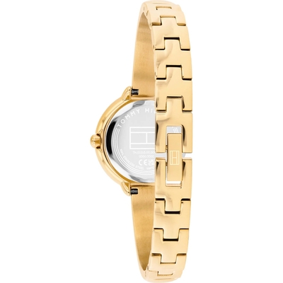 Tommy Hilfiger Demi női óra (TH1782895)