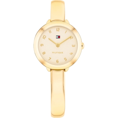 Tommy Hilfiger Demi női óra (TH1782895)