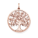 Thomas Sabo Sterling Silver medál - PE759-416-14