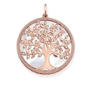 Thomas Sabo Sterling Silver medál - PE761-435-14