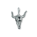 Thomas Sabo Bika charm medál - Y0017-698-11