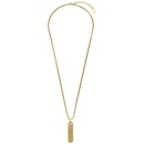 STEELWEAR férfi acél nyaklánc medállal 60 cm - SW-1034 STEELWEAR férfi acél nyaklánc medállal 60 cm - SW-1034