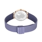 Bering Classic női óra (10135-968)