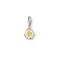 Thomas Sabo November charm (1264-774-4)