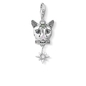 Thomas Sabo Cica charm (1820-845-7)