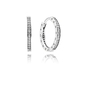 Pandora fülbevaló (290558CZ)