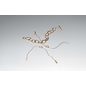 Pandora 14K aranyozott organikus formájú szemes karkötő 18 cm (563864C00-1)