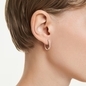 Swarovski Dextera fülbevaló (5743798)