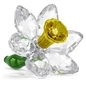 Swarovski Florere nárcisz kristály dísz (5721540)