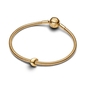 Pandora Hold mini charm (764516C00)