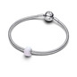 Pandora charm (794245C01)