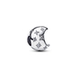 Pandora Hold charm (794254C01)