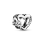 Pandora charm (798825C00)