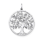 Thomas Sabo Sterling Silver medál (PE759-051-14)