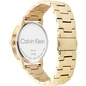 Calvin Klein Timeless férfi óra (CK25200056)