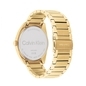 Calvin Klein Progress férfi óra (CK25200447)