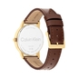 Calvin Klein Linked férfi óra (CK25200503)