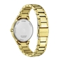 Citizen Eco-Drive Elegance női óra (FE6122-64A)