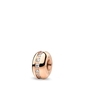 Bering Arctic Symphony charm (Home-3)