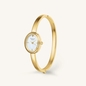 Rosefield Bangle S Gold női óra (STWGSG-ST04_3I)